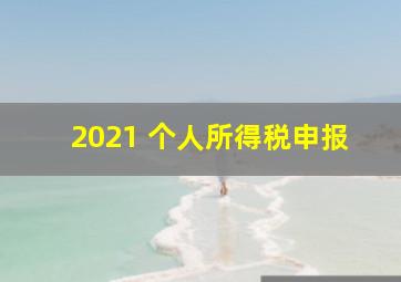 2021 个人所得税申报